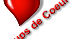 Mes 7 articles coups de coeur du mois d’Octobre