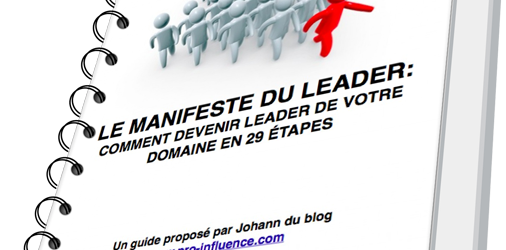 Comment devenir un leader de votre domaine en 29 étapes: le guide gratuit